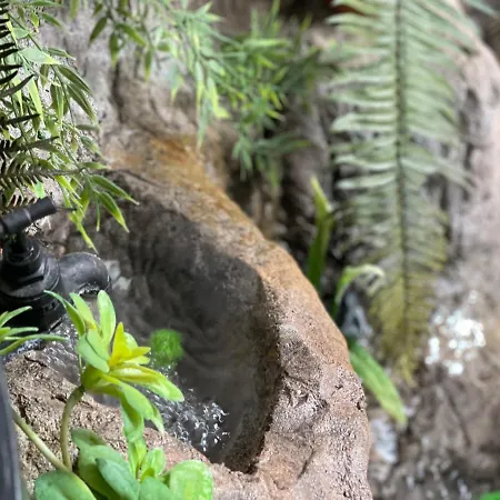 Aparthotel Atrium Boutique 4*